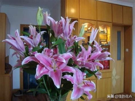 百合花可以放多久|百合花能放多久？有訣竅！一招教會你插花3～4星期 